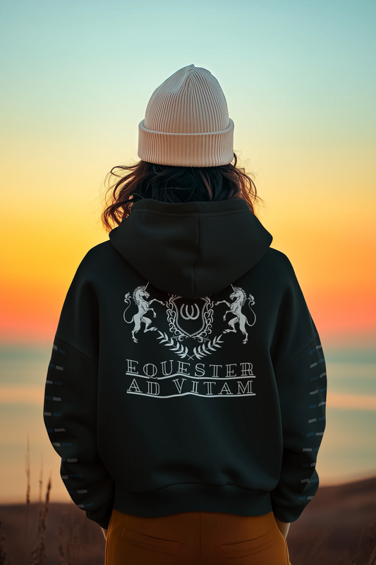 Person wearing a black hoodie with text and graphics, standing against a sunset sky.